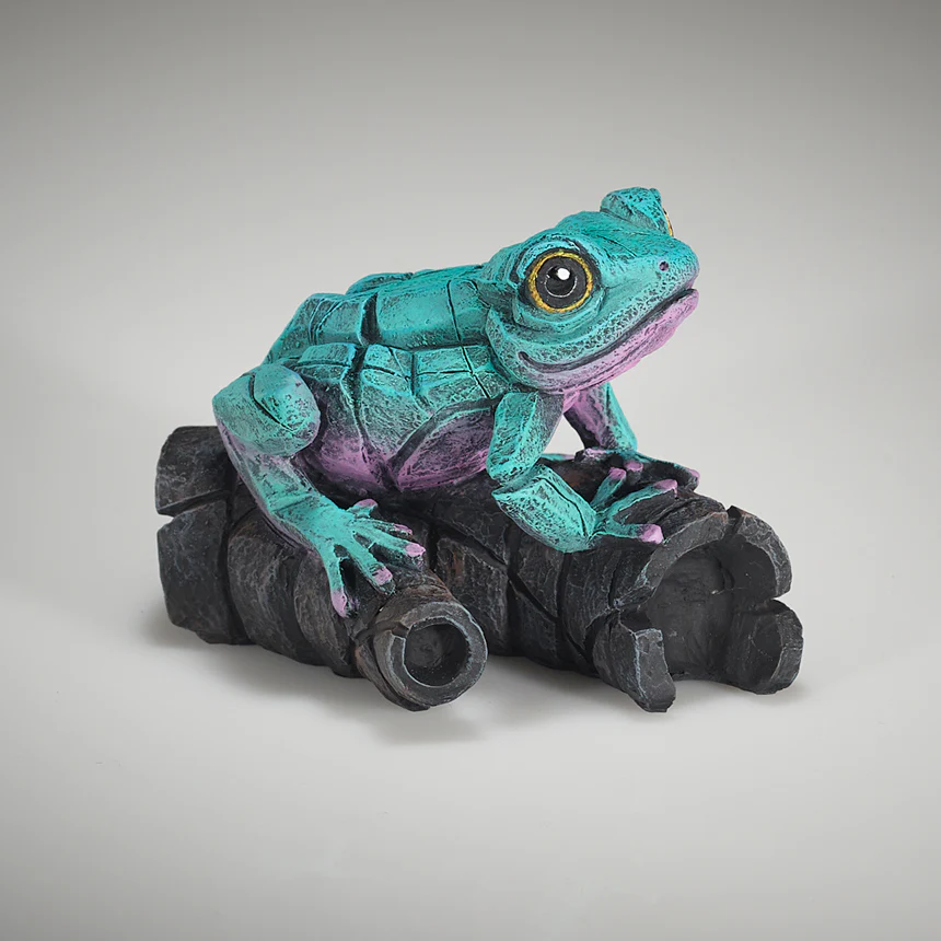 African Tree Frog Aqua Pink - Image 3