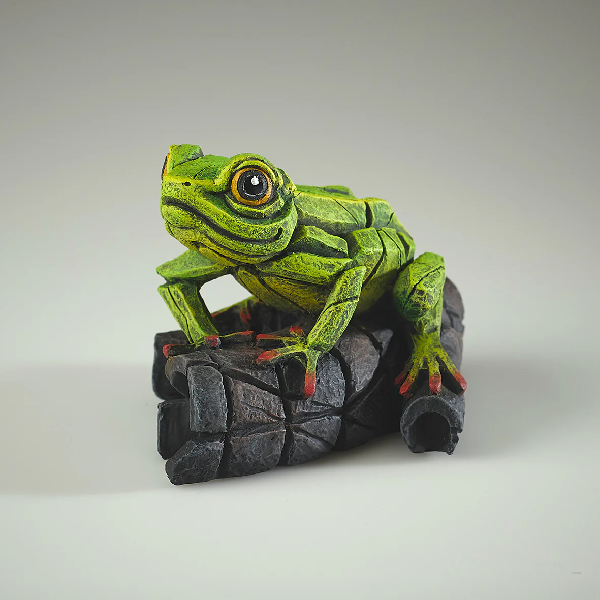 African Tree Frog Green - Image 3