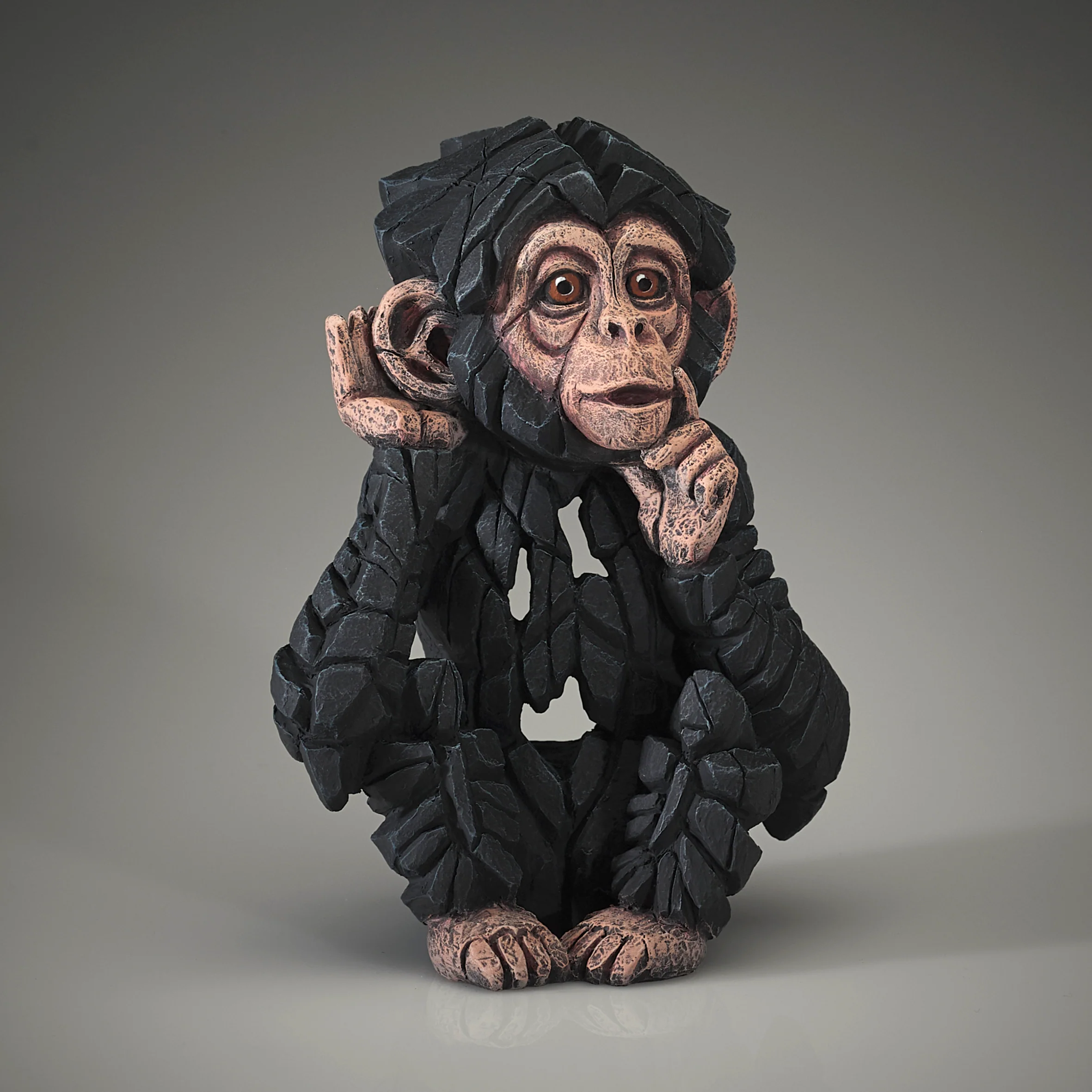 Baby Chimpanzee Hear No Evil - Image 3
