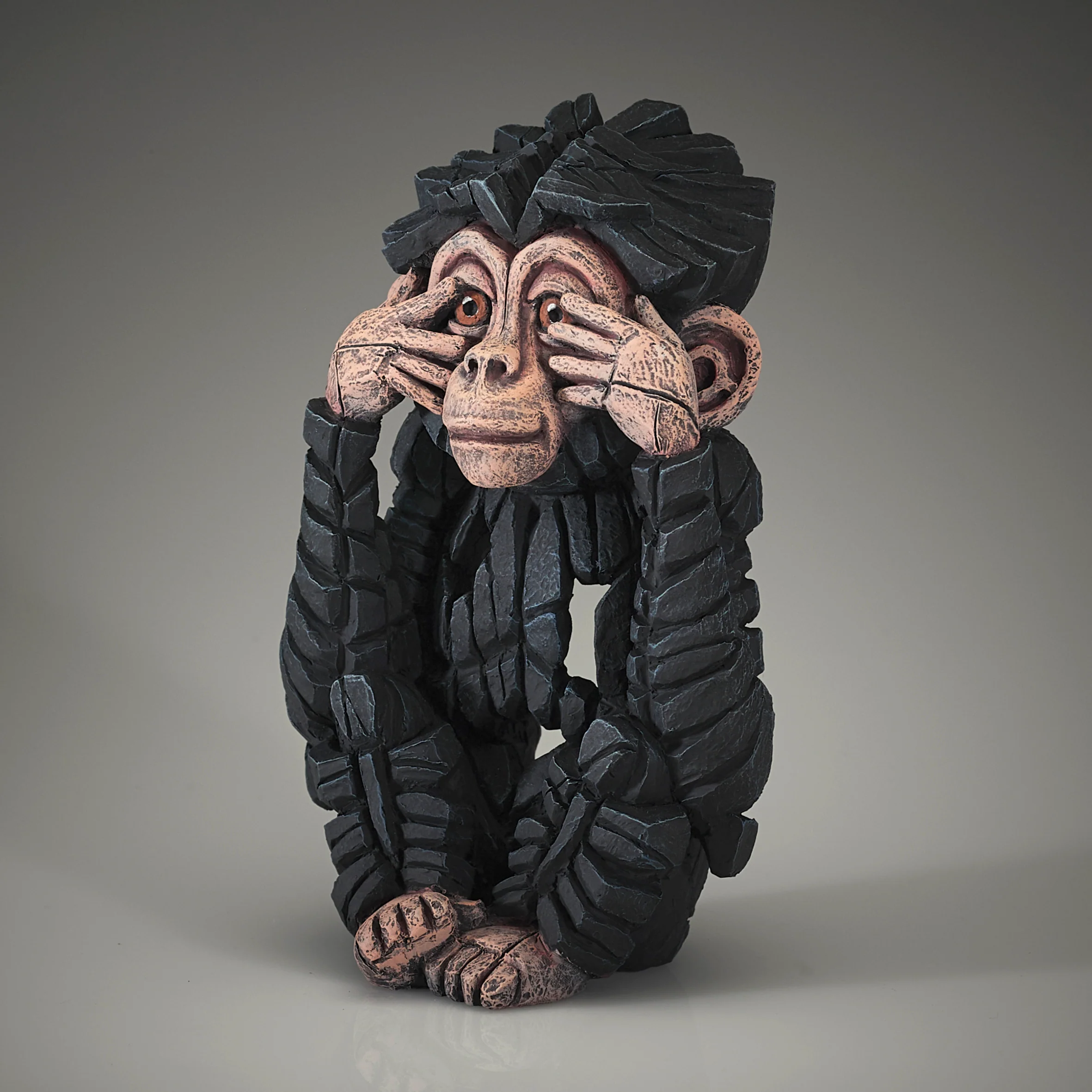 Baby Chimpanzee See No Evil - Image 2