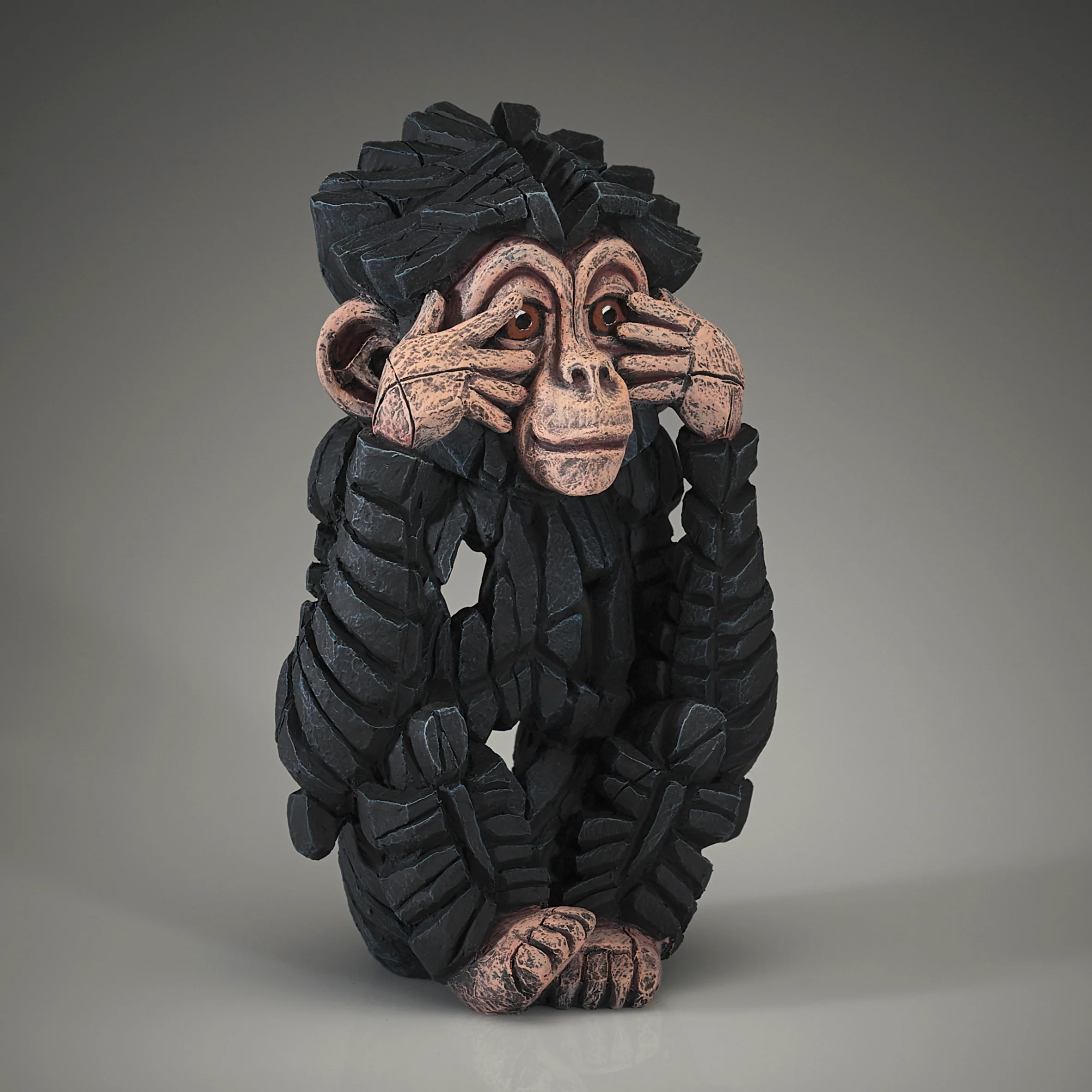 Baby Chimpanzee See No Evil - Image 3