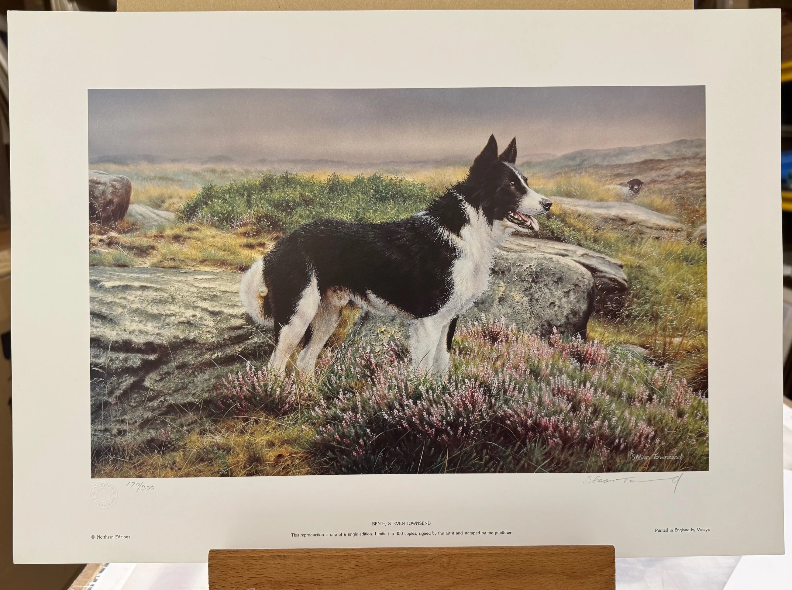Ben - Print Only