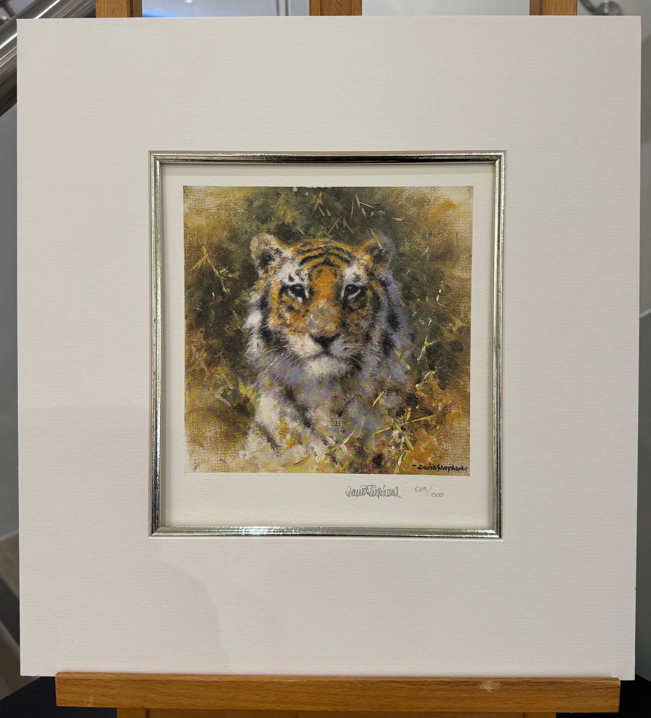 Bengal Tiger The Cameo Collection Wildlife Of The World