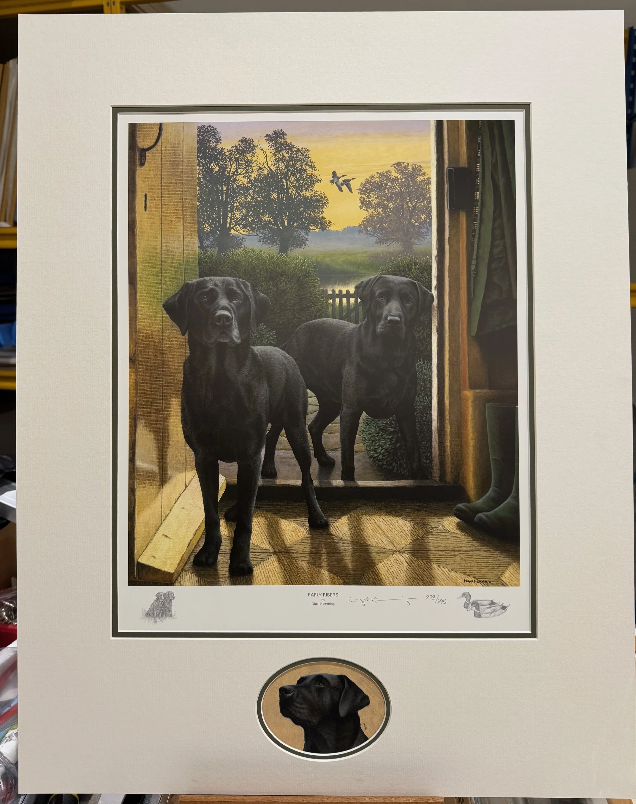 Early Risers with Original Head Study (Labrador Looking Left)