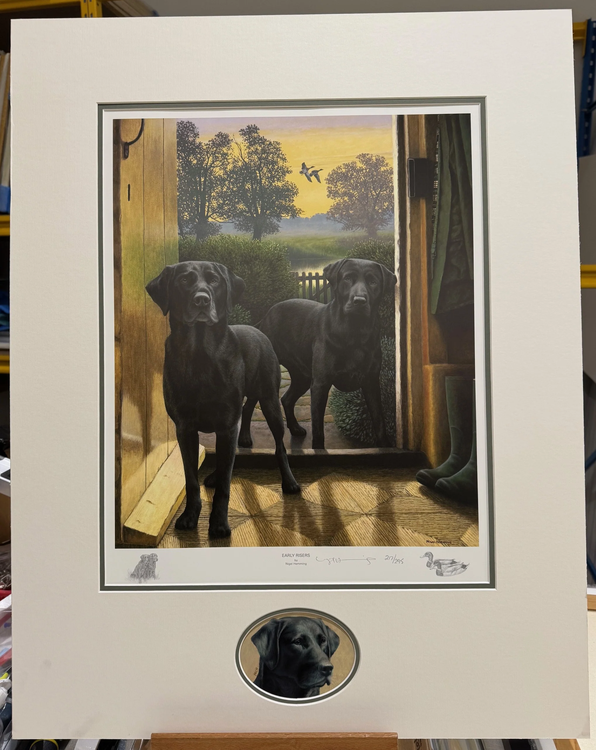 Early Risers with Original Head Study (Labrador Looking Right)