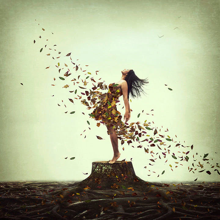 Everlasting Roots - Image 3