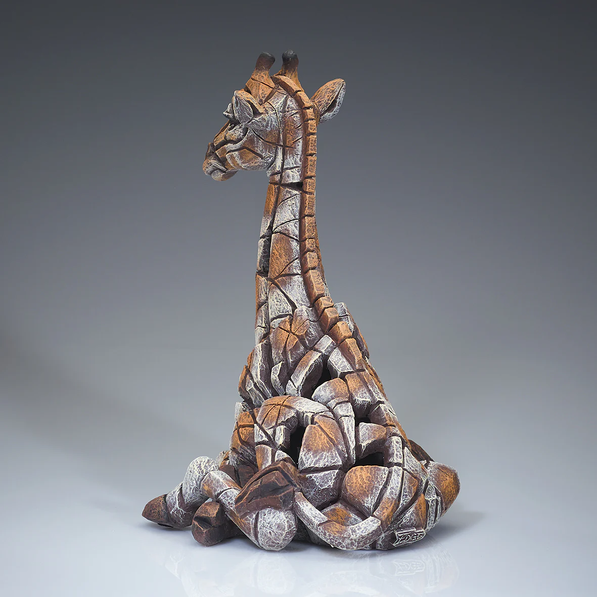 Giraffe Calf - Image 3
