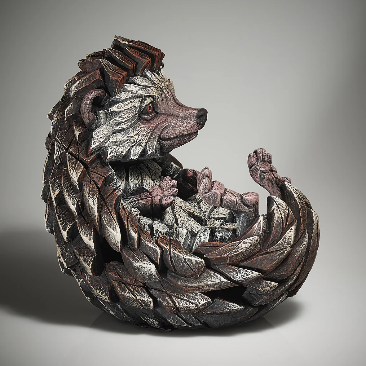 Hedgehog - Image 3