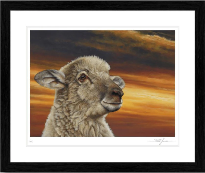 Hope - Image 2