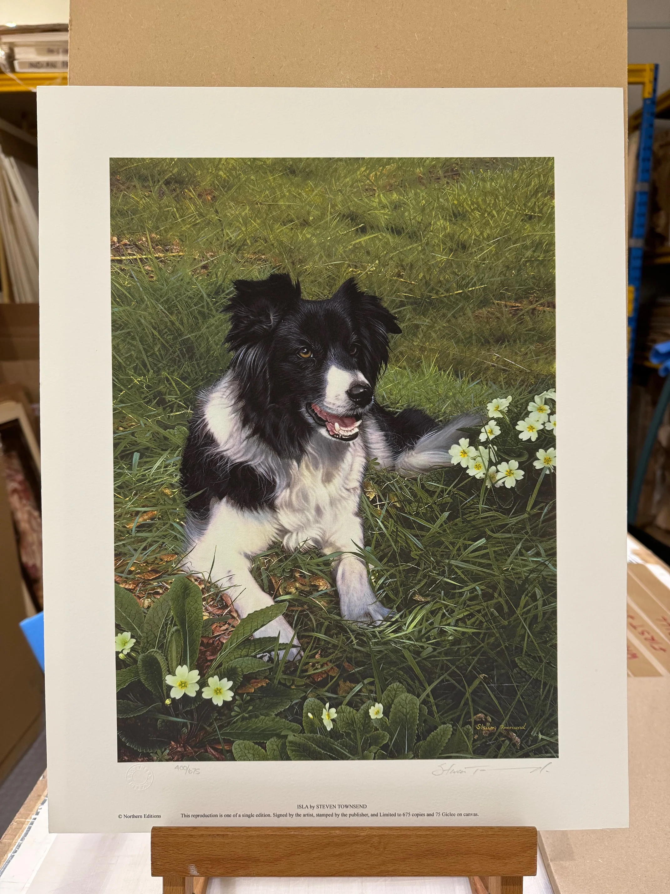 Isla - Print Only