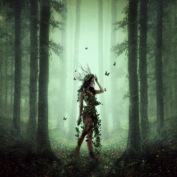 Ivy - Image 3
