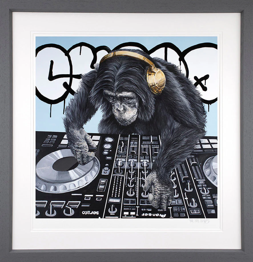 Jungle Nights And Swinging Beats - Image 2