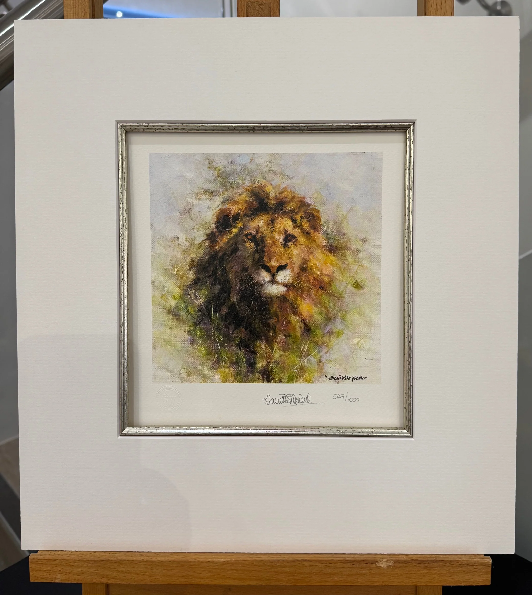 Lion The Cameo Collection Wildlife Of The World