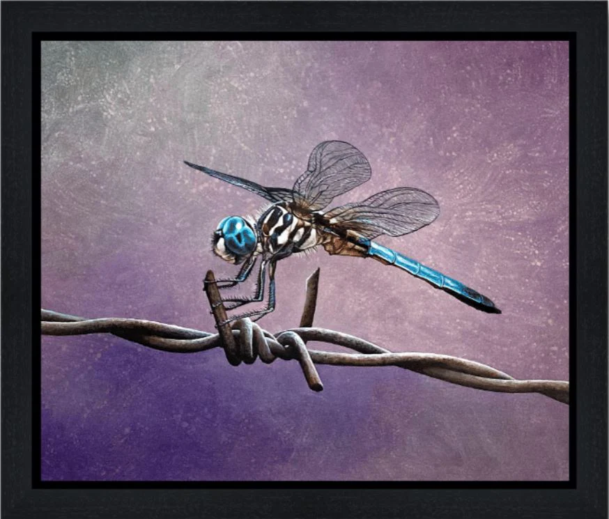 On the Wire - Image 4