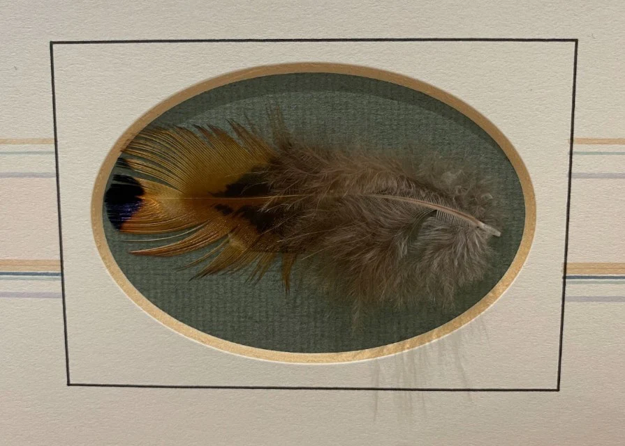 Pheasant Pluckers Mate - Image 2