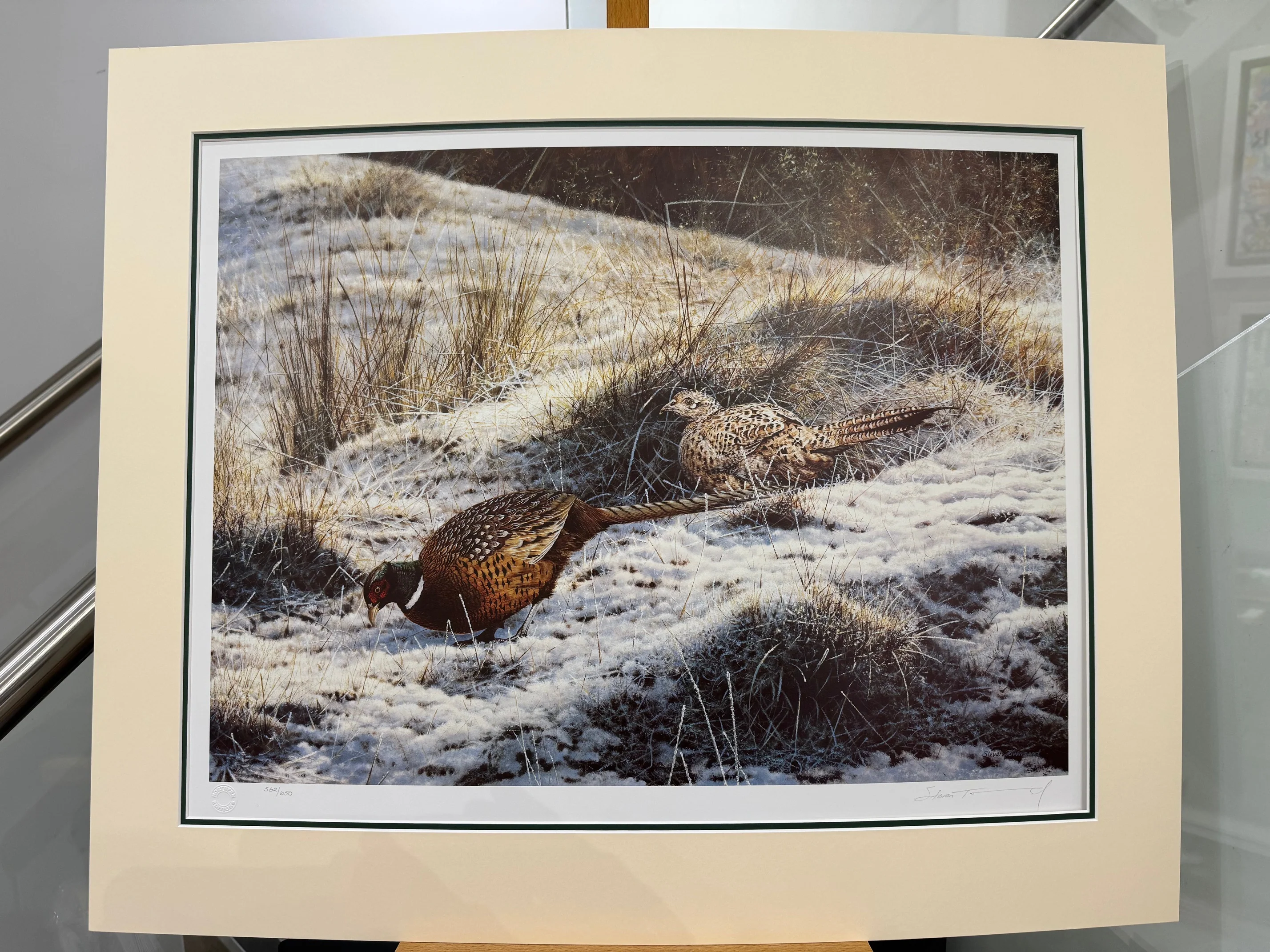 Pheasants