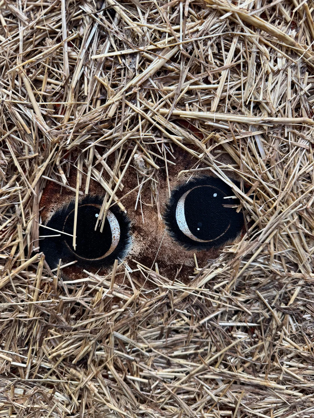 Ready Or Not - Image 6