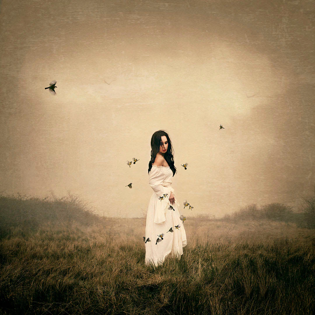 Songbird - Image 3