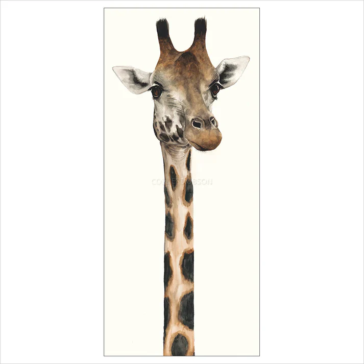 Tall, Dappled and Handsome - Image 3