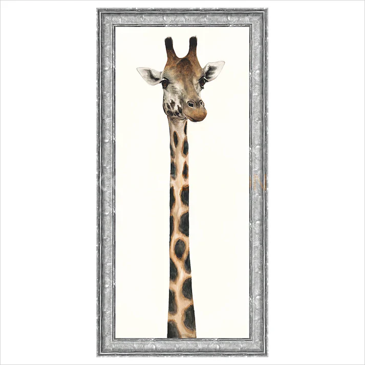 Tall, Dappled and Handsome - Image 4