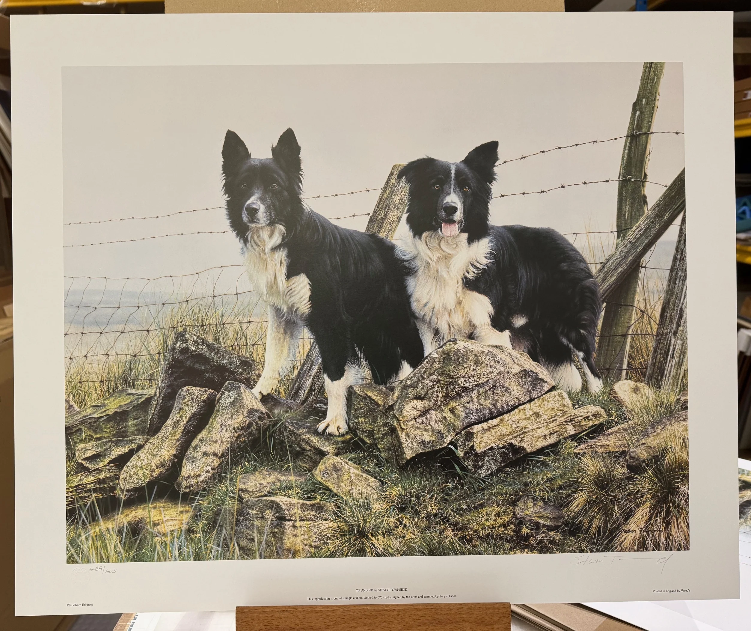 Tip and Pip - Print Only