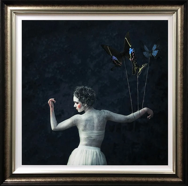 Transition - Image 2