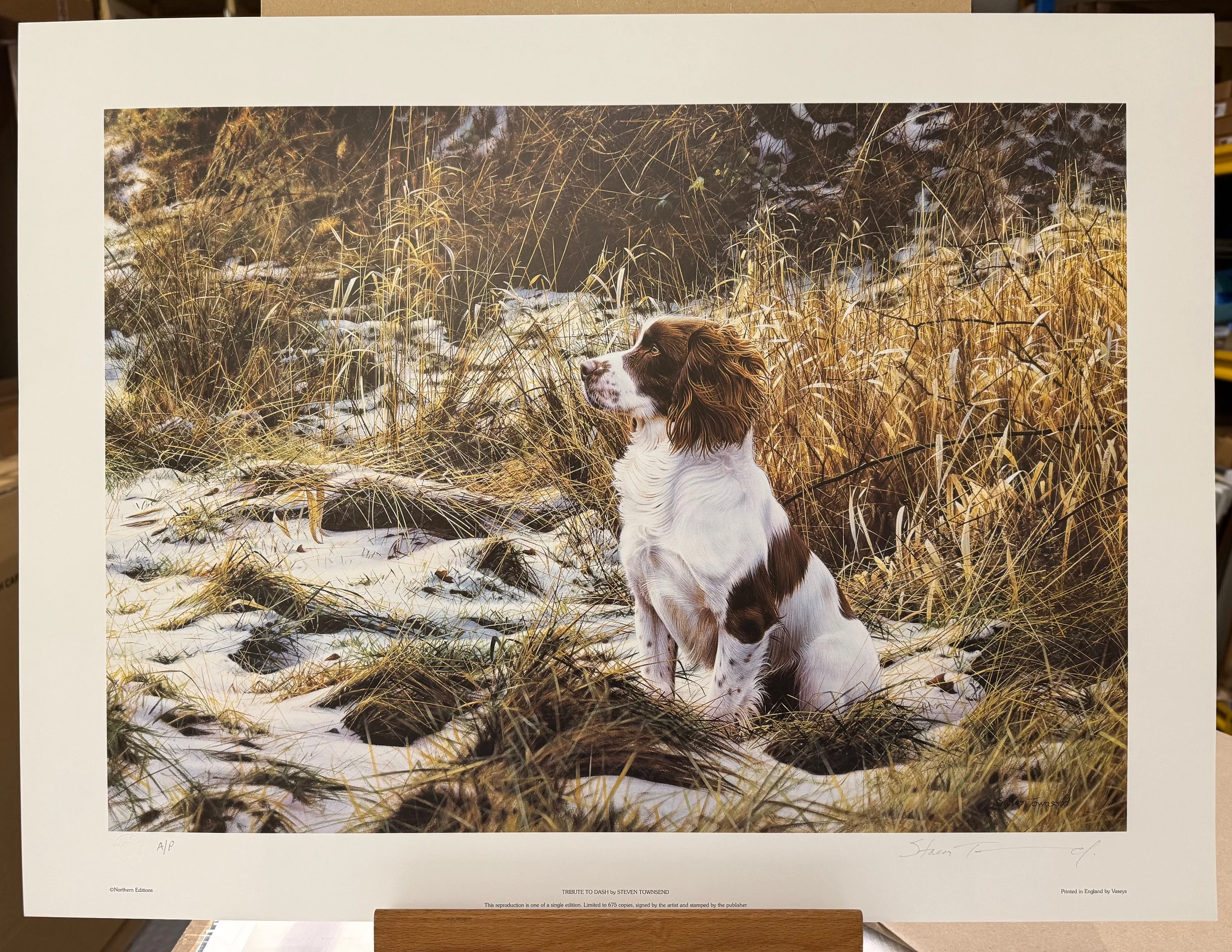 Tribute To Dash - Artist Proof - Print Only
