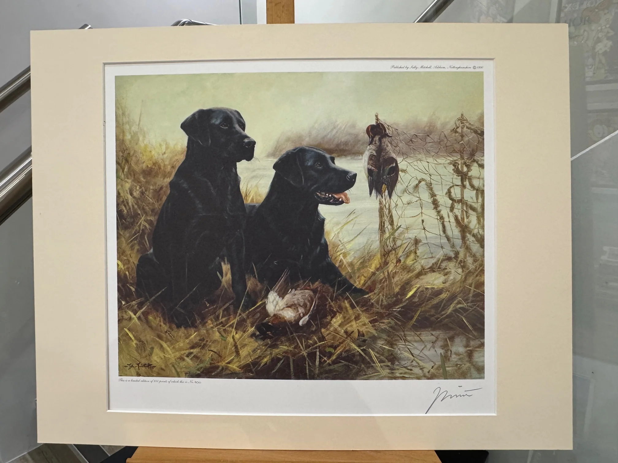 Two Black Labradors Having A Rest