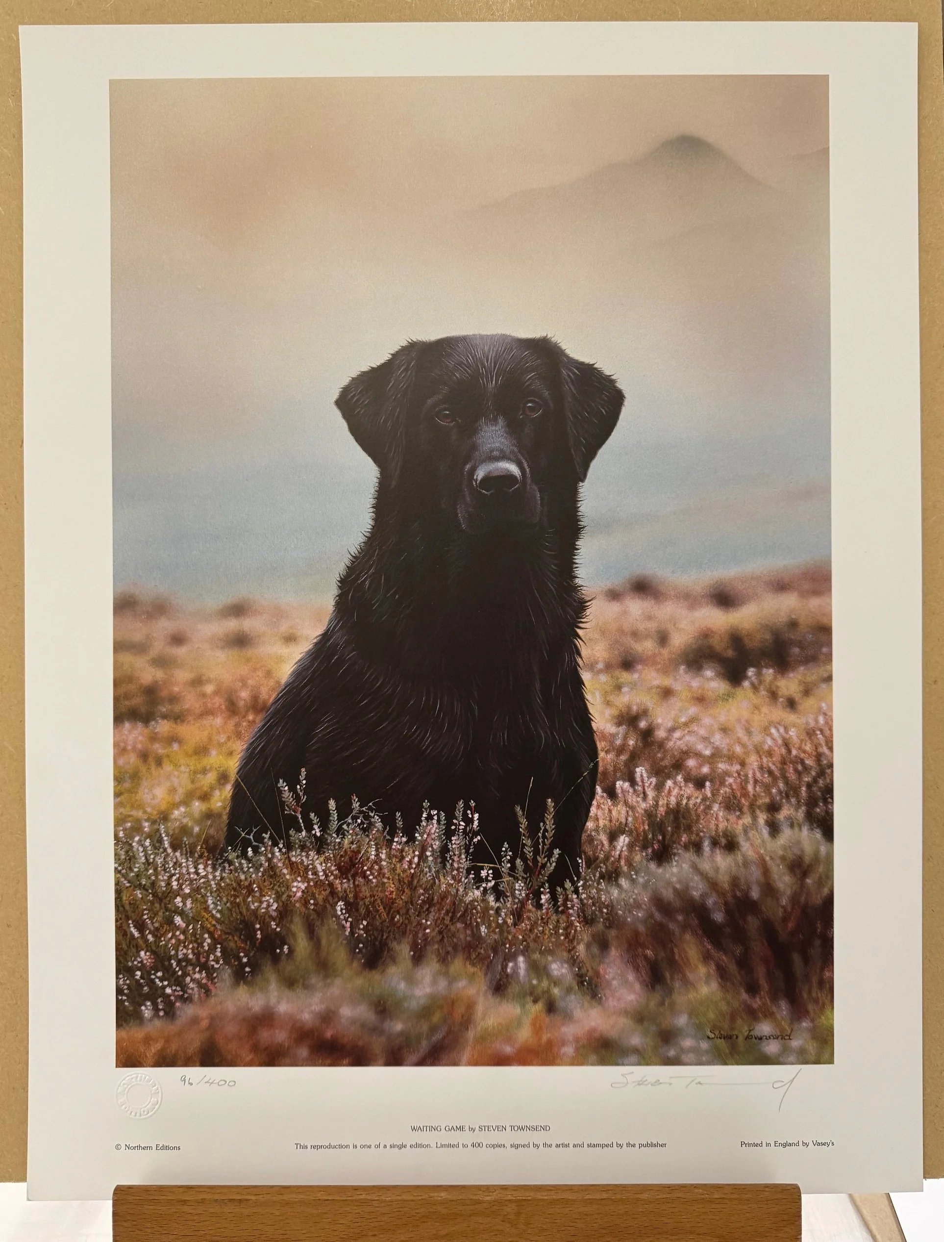 Waiting Game - Print Only